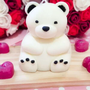 Lovely Teddy